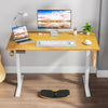 JHK Electric Adjustable Height Standing Computer Desk Ergonomic Sit Stand Up Down Computer Table Workstation For Home Office